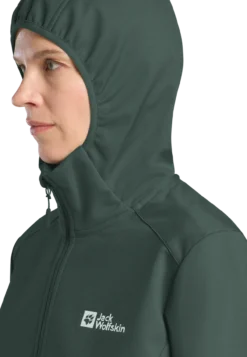 BORNBERG HOODY W