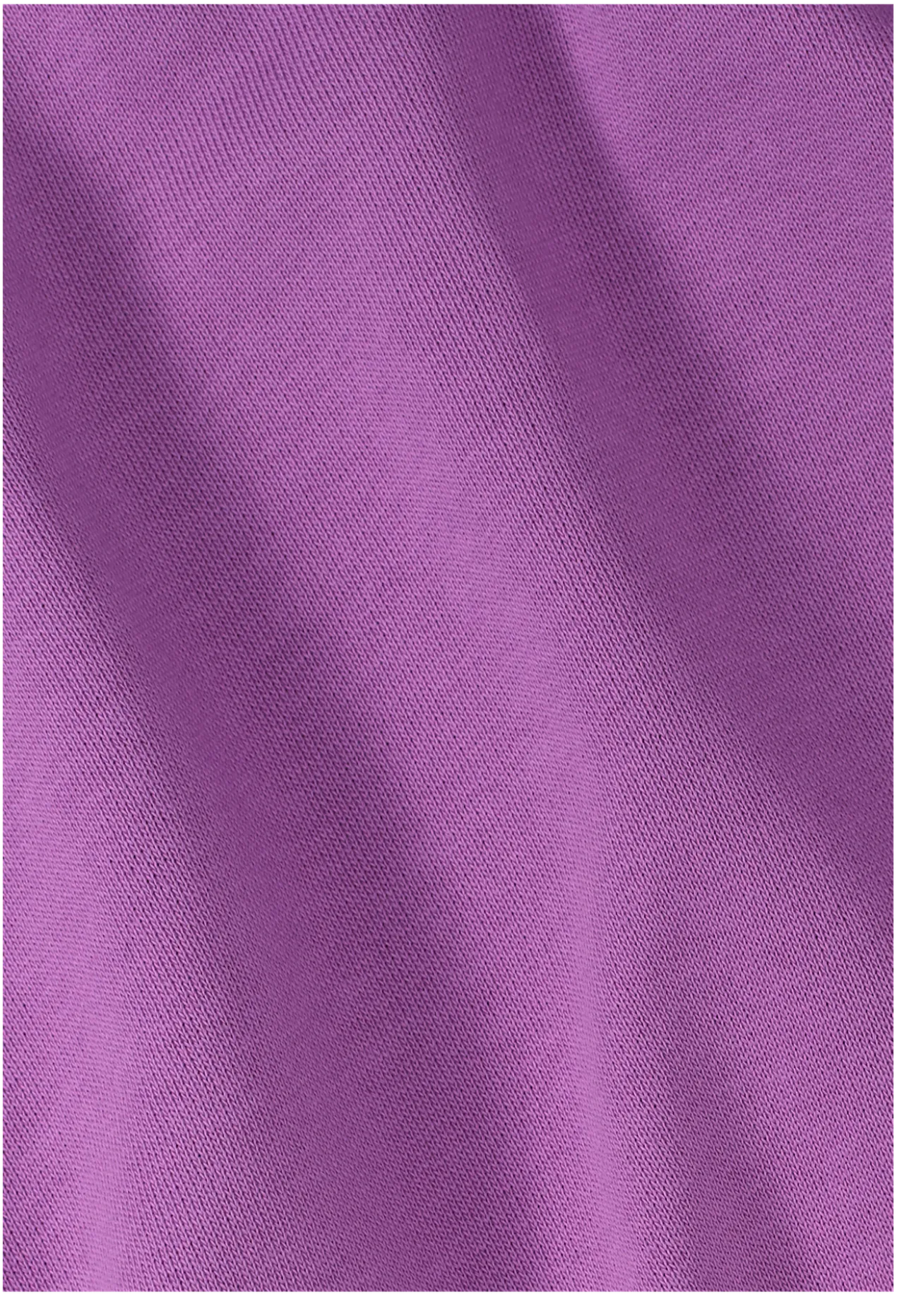 CELEBRATE THE PAW CREWNECK W