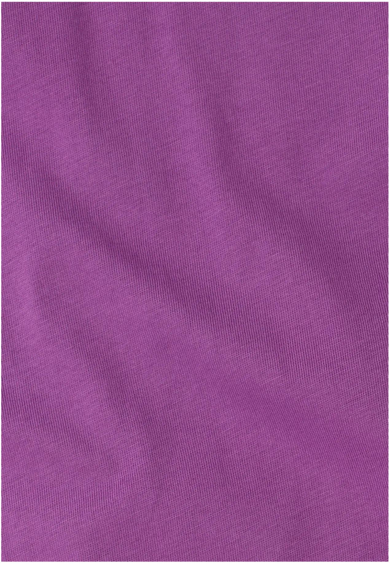 CELEBRATE THE PAW ORIGINAL T M