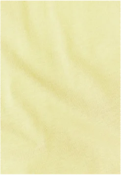 CELEBRATE THE PAW ORIGINAL T M