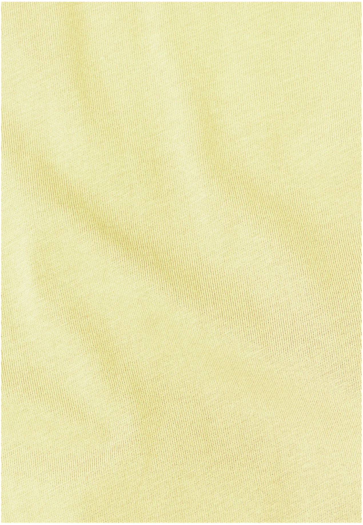 CELEBRATE THE PAW ORIGINAL T M