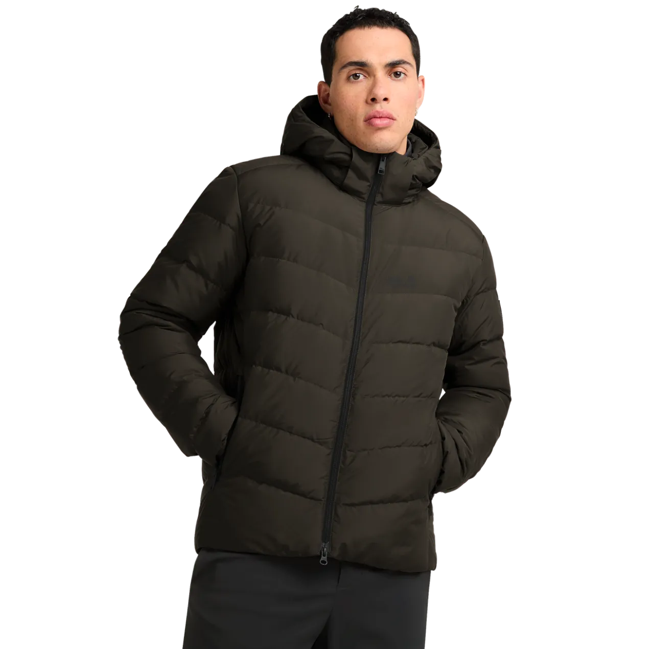 COLONIUS JKT M RDS