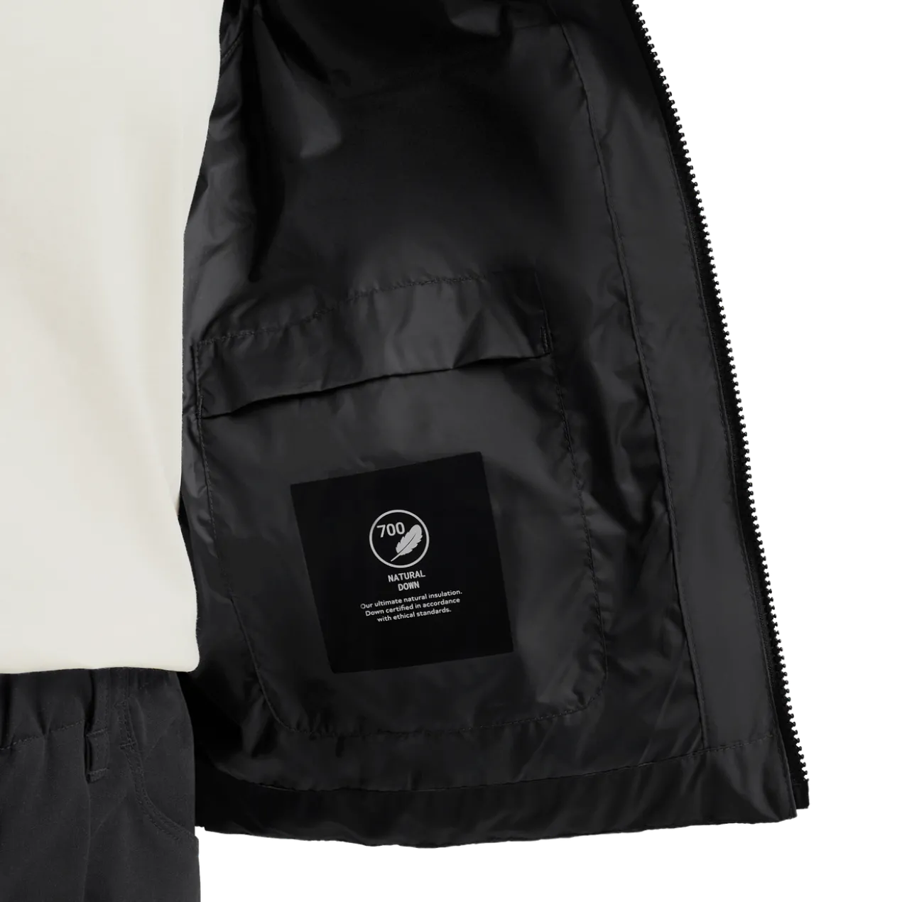 FROZEN PALACE JKT W RDS