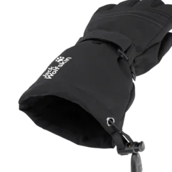 INS SKI GLOVE