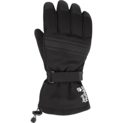 INS SKI GLOVE