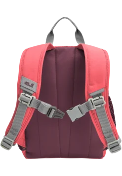 LITTLE SCOUT 10