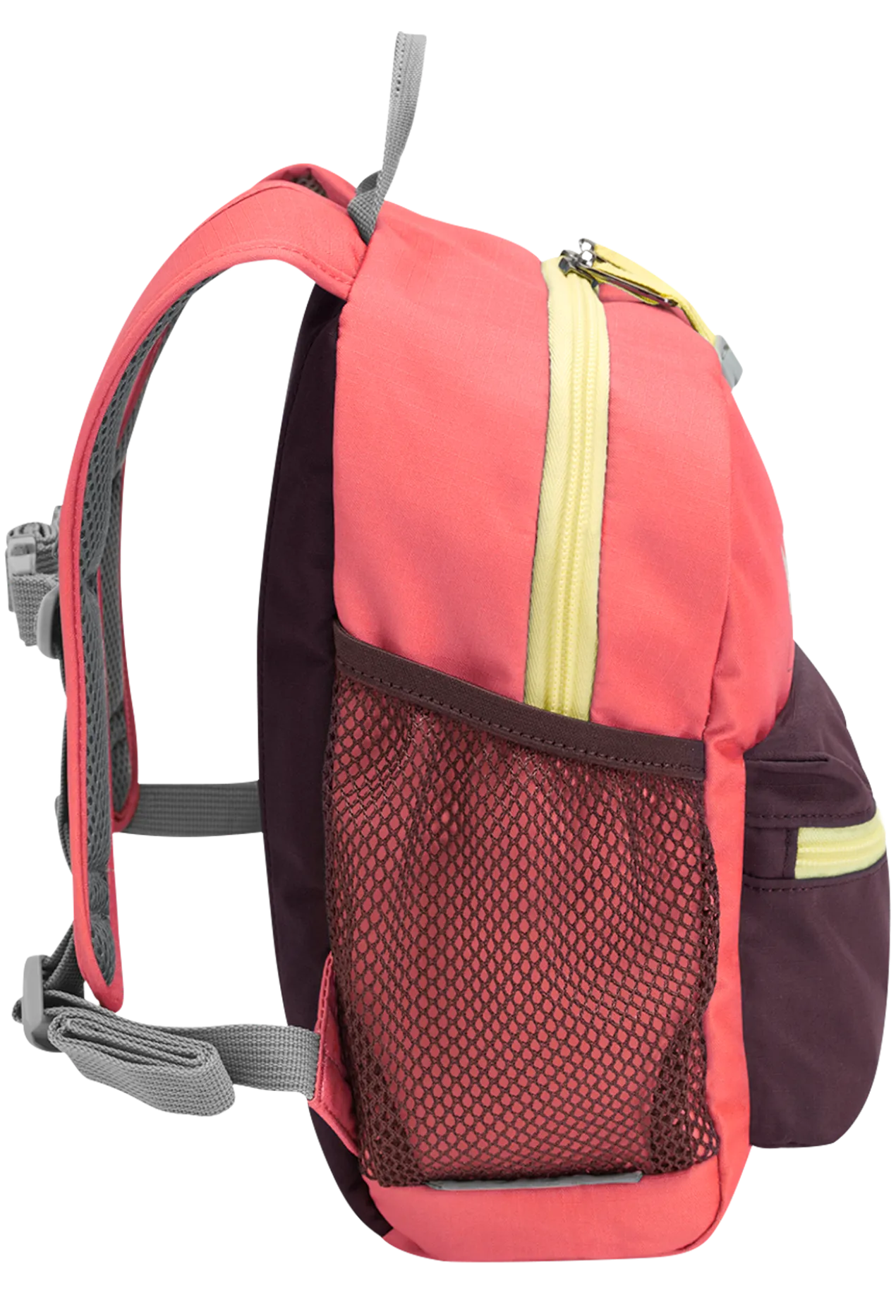 LITTLE SCOUT 10