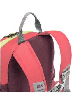 LITTLE SCOUT 10