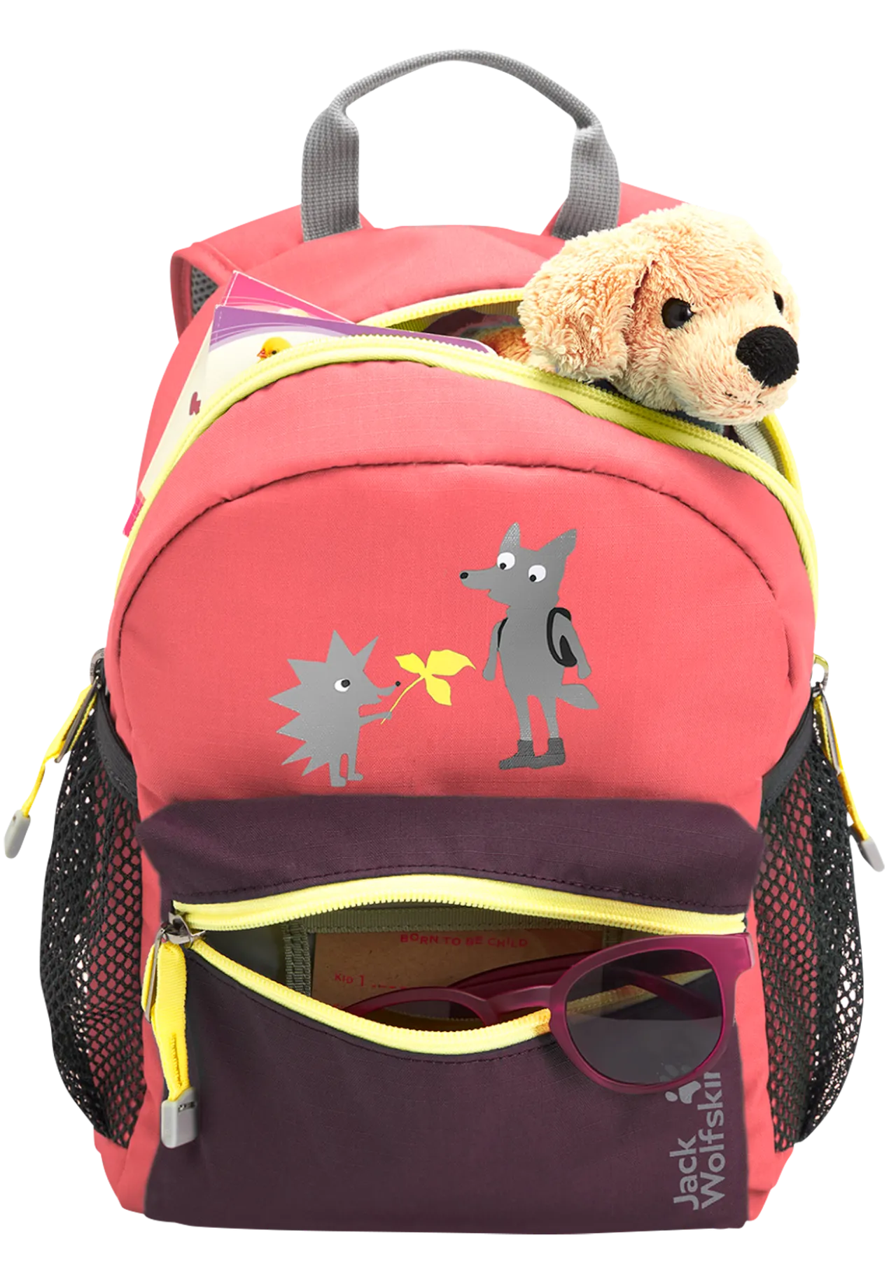 LITTLE SCOUT 10