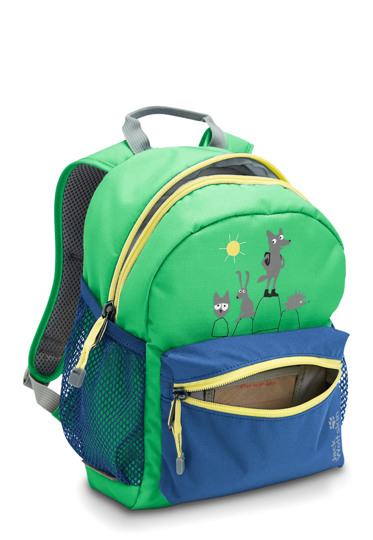 LITTLE SCOUT 10