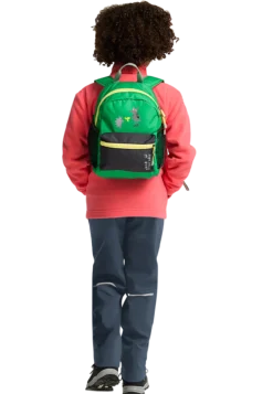 LITTLE SCOUT 10