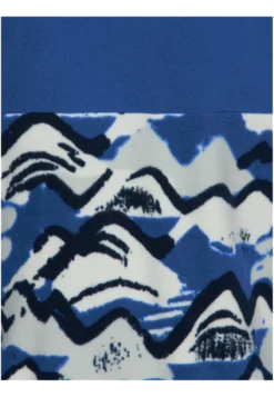 PAW ERA 100 PRINT FZ K