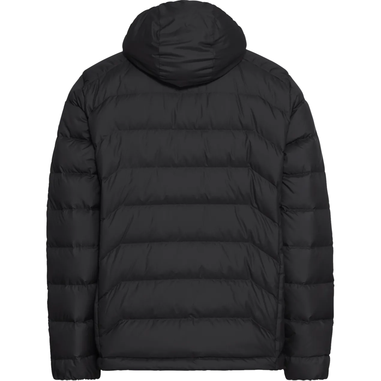 WILD PASS DOWN HOODY M RDS