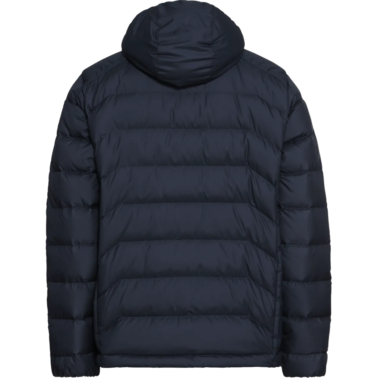 WILD PASS DOWN HOODY M RDS