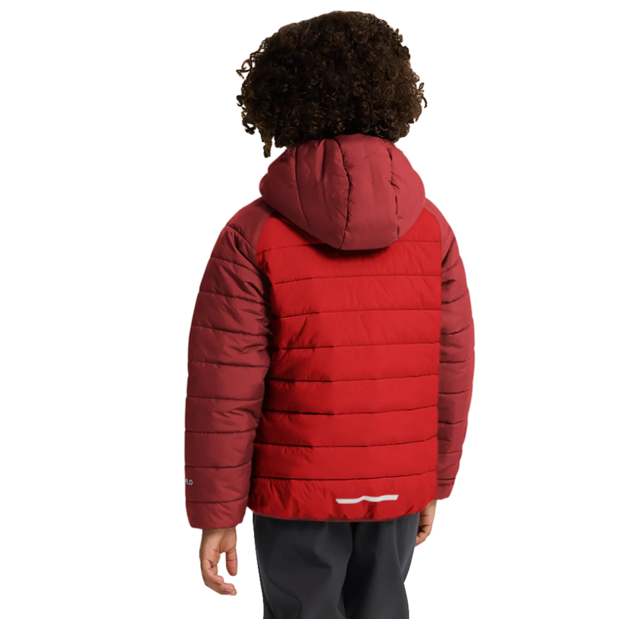 ZENON JKT KIDS